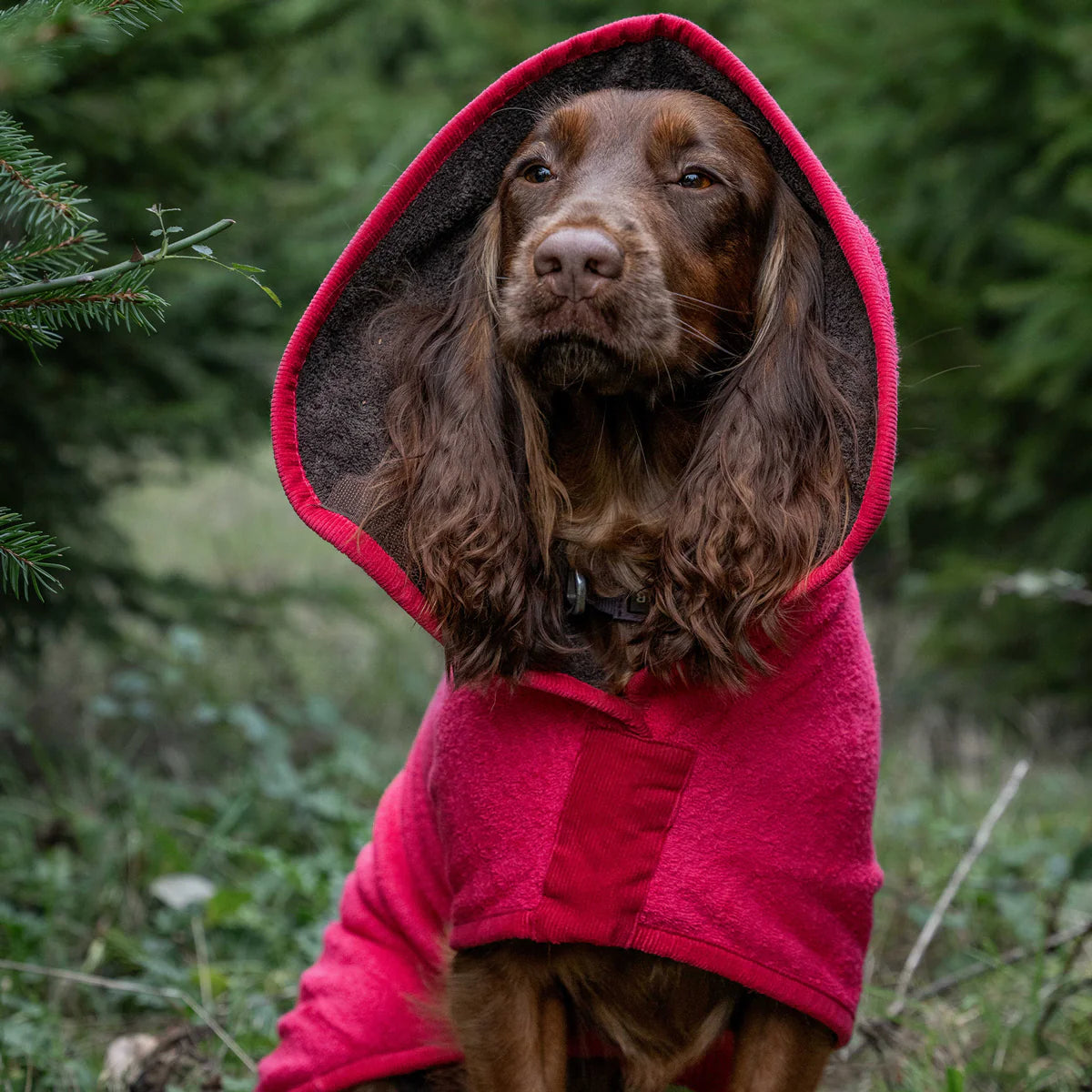 Dog drying coat Raspberry and Dark Chocolate